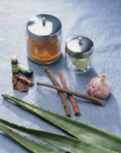 How Do Plants Help Prevent Cancer? Image
